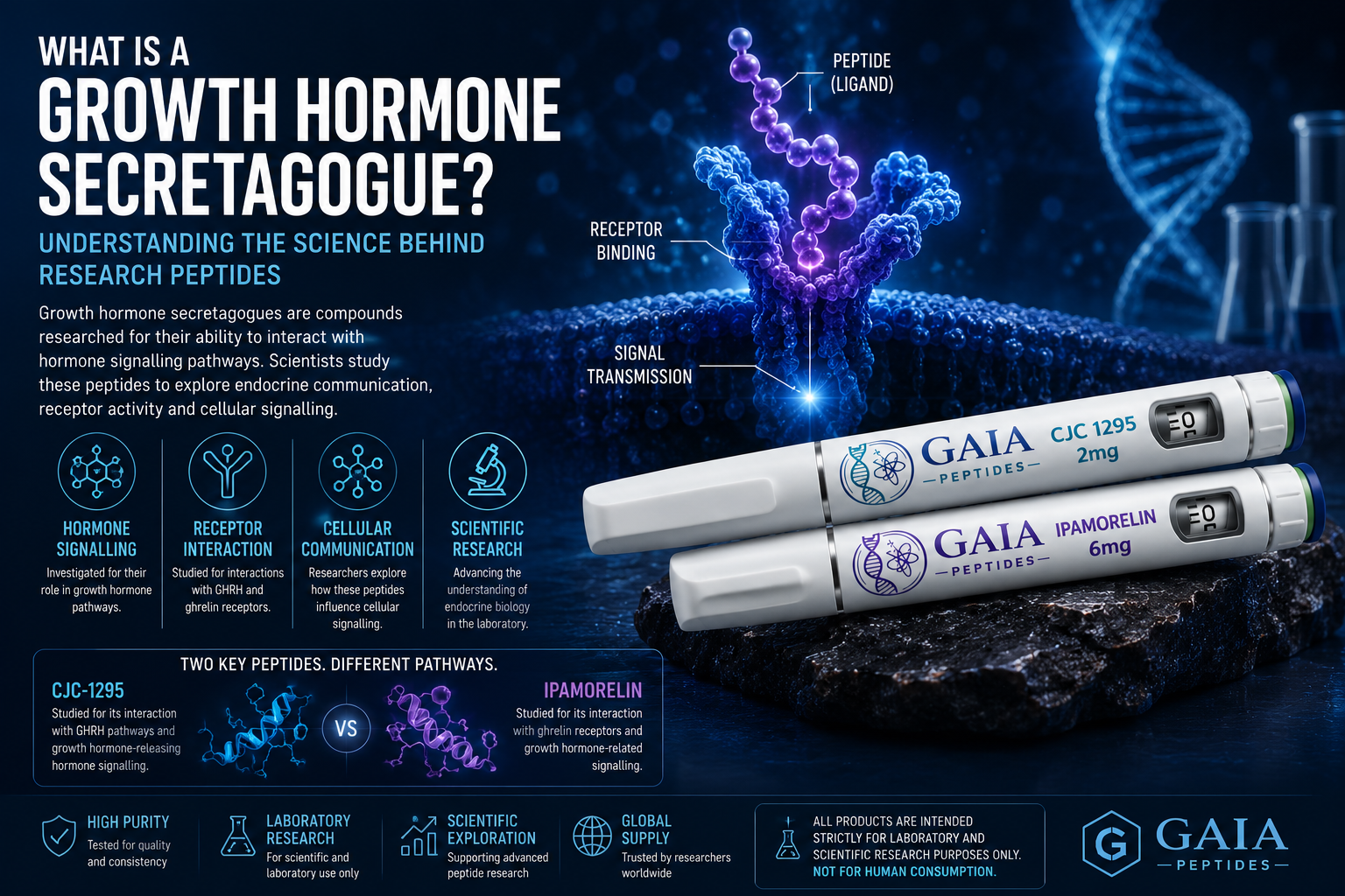 growth hormone secretagogues cjc-1295 ipamorelin clinical trial safety What are the usage guidelines and precautions for ipamorelin (growth secretagogue) therapy?  Unlock Your Potential with  CJC-1295 and Ipamorelin help your
