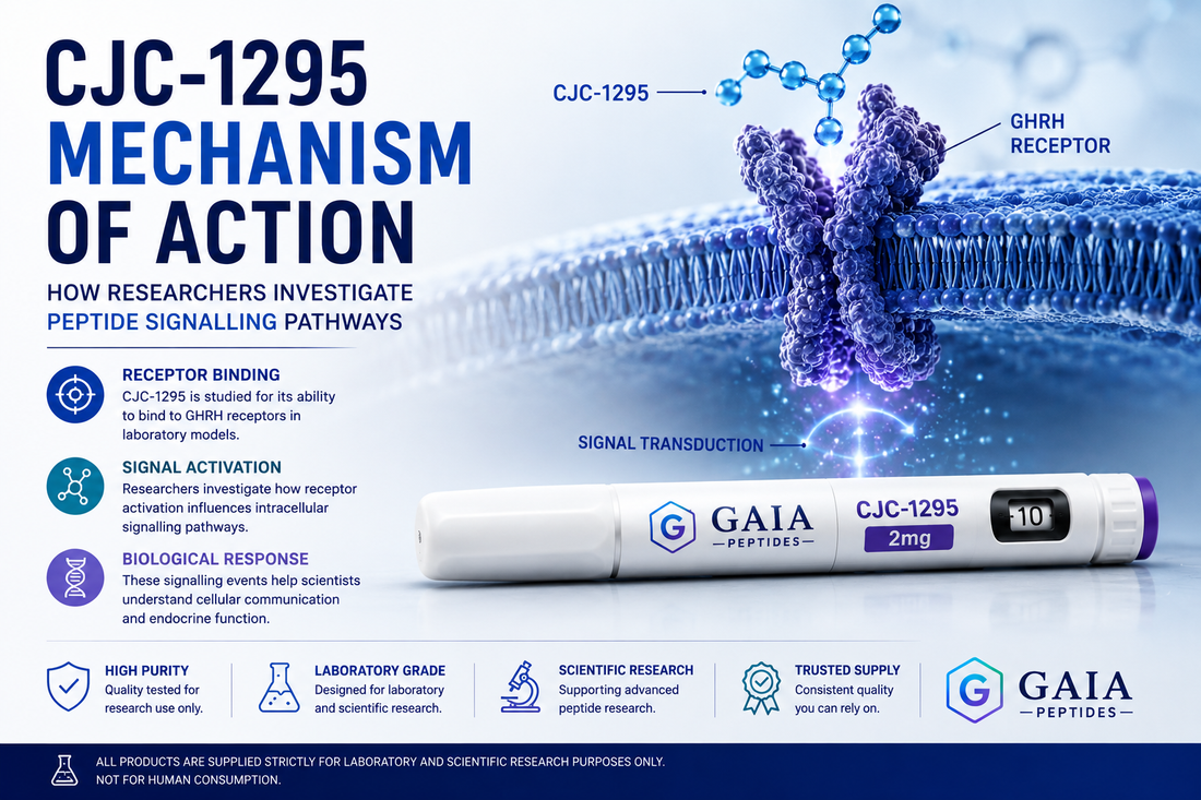 CJC-1295 Mechanism of Action: How Researchers Investigate Peptide Signalling Pathways