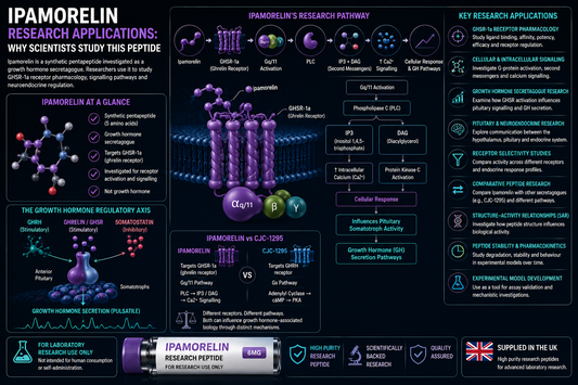 Ipamorelin Research Applications: Why Scientists Study This Peptide
